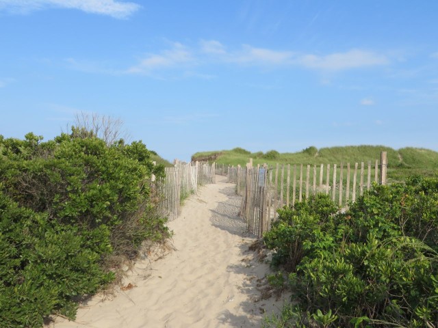 Block Island dunes - definitely worth restoring and preserving