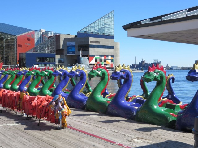 Dragon paddle boats - now that's a different style for traveling around on the water!