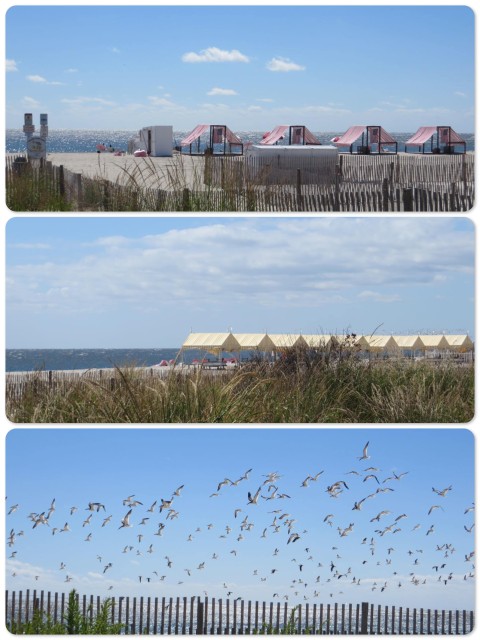 Cape May beaches