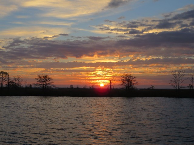 The bold orange appears above the marsh shoreline of the creek.