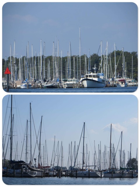 The masts of Solomons