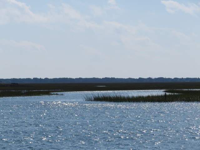 Marshes along the ICW