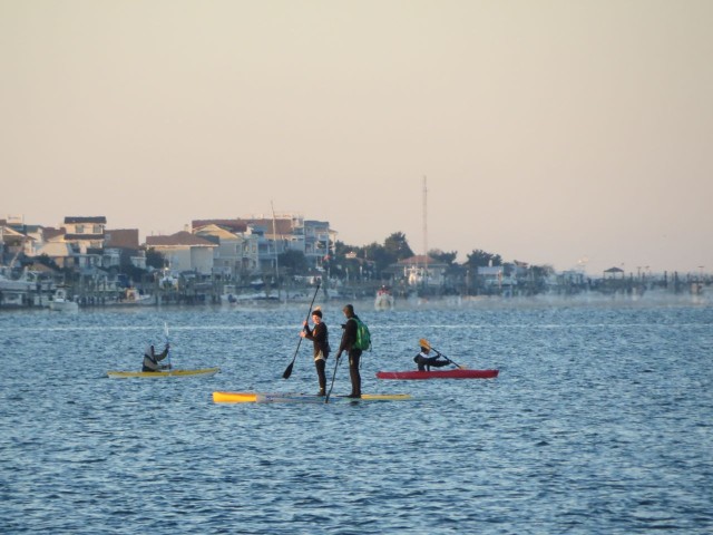 Volunteers on paddleboards and kayaks are spread out along the swimming course