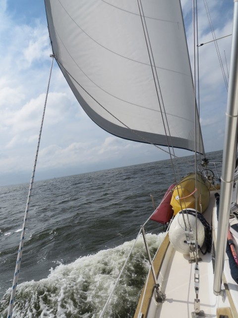 Sailing down the Pamlico River