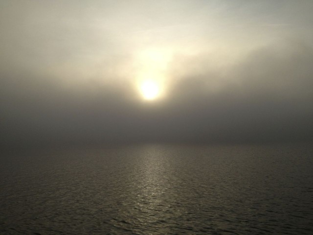 Fog with a little sun in the ICW