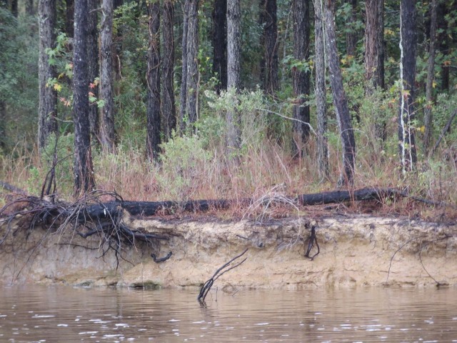 Sandy soil eroding