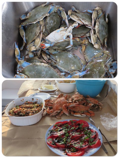 ~The crabs, ready for the pot ~ ahhhh, dinner!