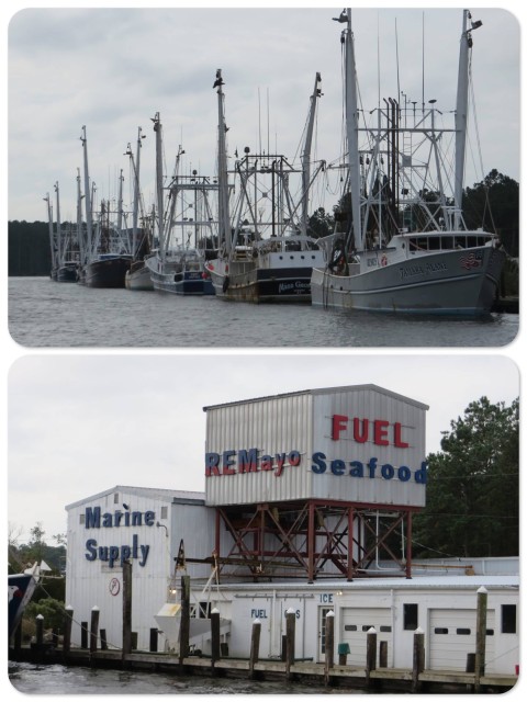 R.W. Mayo shrimping boats 