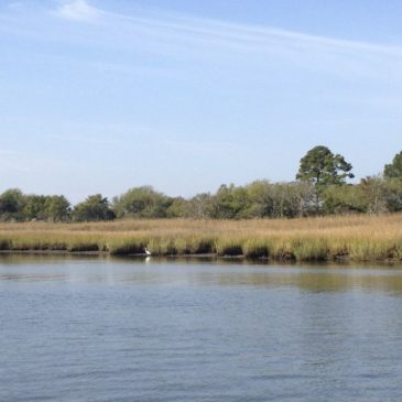Back in the ICW in Low Country