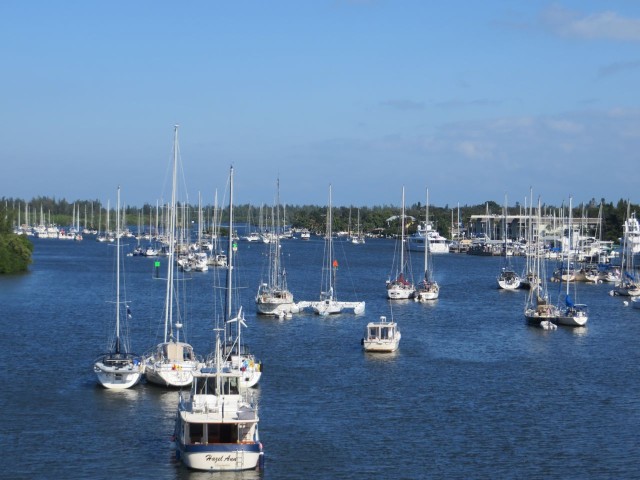 Thanksgiving morning (50 degrees out but sunny) Looking out over the Vero Beach mooring field