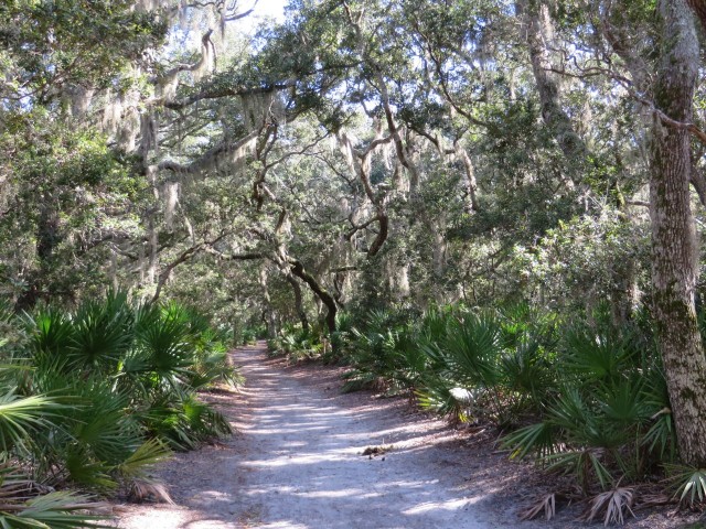 Beautiful sandy paths under our feet and Spanish moss swaying above our heads 