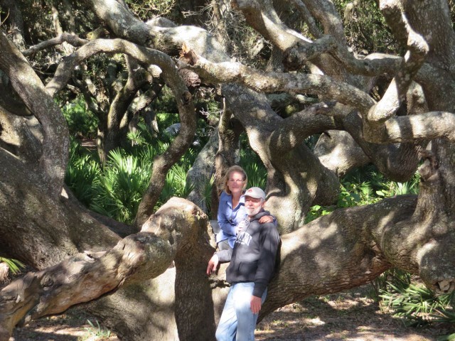 The trees are incredible! Twisting limbs that reach out and ask to be climbed.