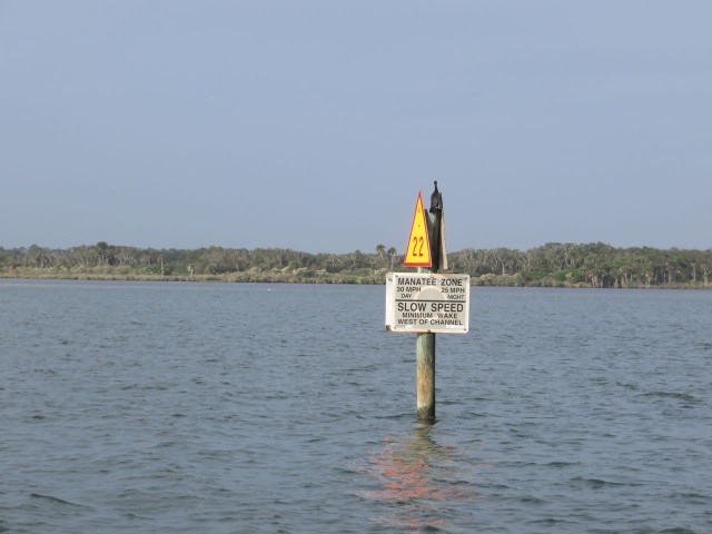 Manatee signs all along the Florida ICW. Maybe more signs than manatees??