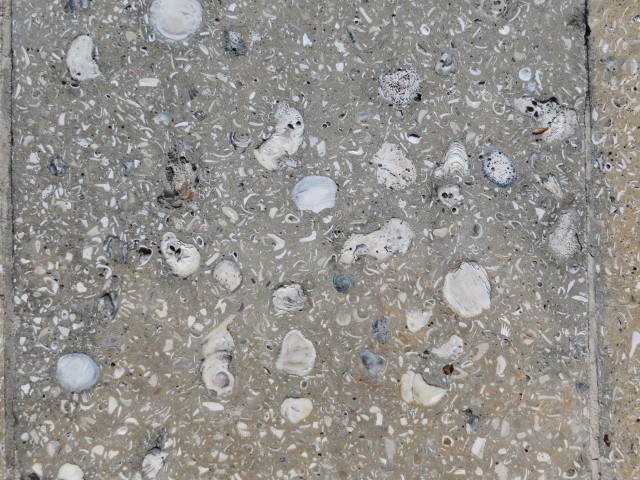 I loved the oyster shells embedded in the concrete paths