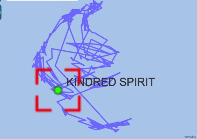 Checking our AIS track is funny when anchored in a place with a strong current flowing through. The blue squiggles are the boat's movement all day and night while anchored.