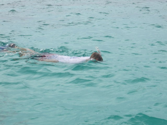 Al snorkeling around