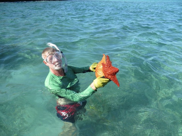 Two brightly colored starfish!