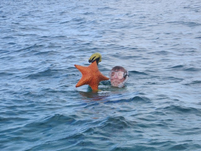 Al finds a very big starfish to show to me before he returns it to the bottom.