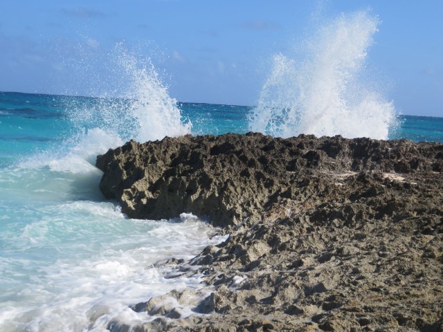 The surf was a great show as it roared up against the reef rock.