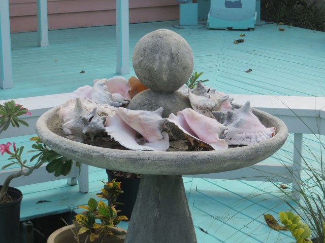 A fountain filled with conch shells in Marsh Harbor