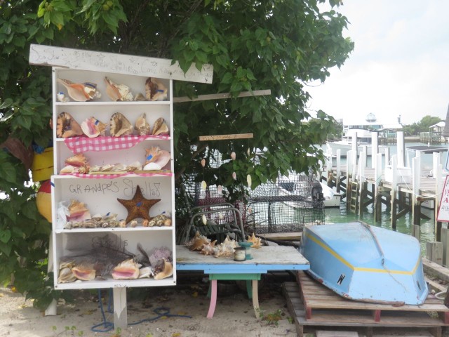 Very cute display of shells for sale