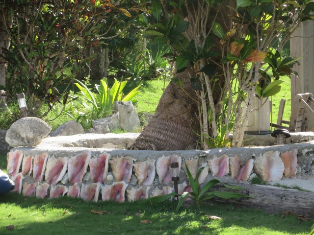 You can imagine how appealing I found this wall of conch!