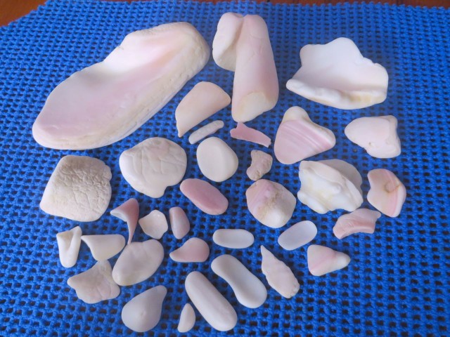 Even the soft pinks of broken conch shells can be beautiful when they are worn smooth by the wave action.
