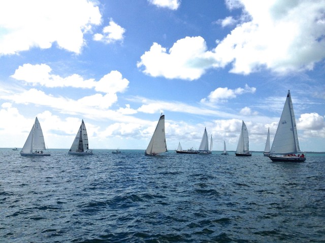 Sails up - looks like a good race ahead of us! ;-)