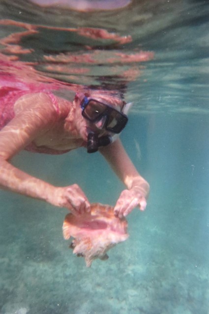 Snorkeling for conch shells Photo credit - Dan Crouch