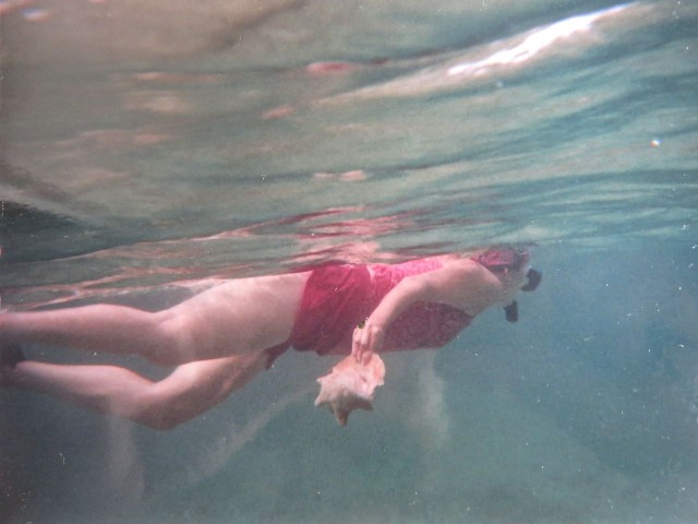 Swimming away with a conch shell Photo credit - Dan Crouch