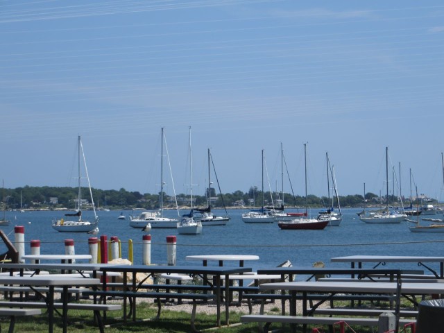 We enjoyed the view form our picnic table, overlooking the Mystic River.