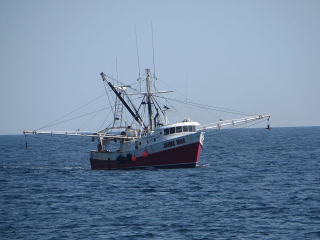 Here is a TRAWLER in the true sense of the word - a fishing trawler that is trawling for fish. 