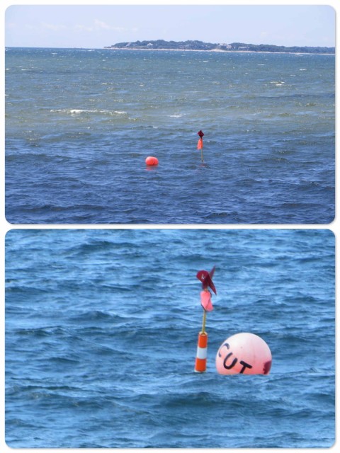 ~ These unofficial orange floats mark the edge of the cut. Notice the difference in the color of the water. ~ The last one marks the beginning of "The Cut" and is even labeled by name.