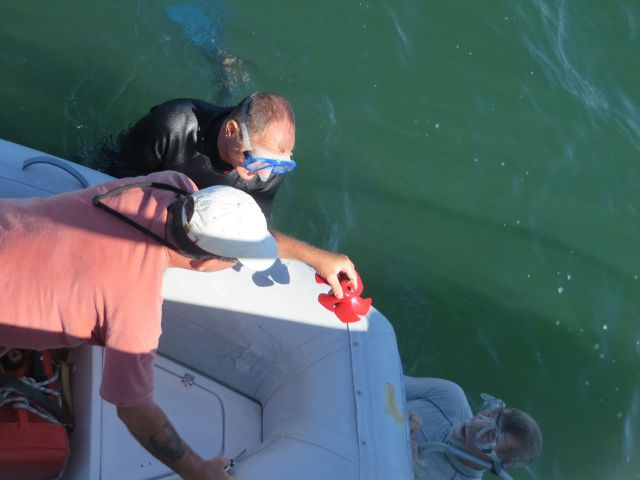 Anthony manned the dinghy and managed the tools, including the new propeller (notice that this one is a 6-blade.)