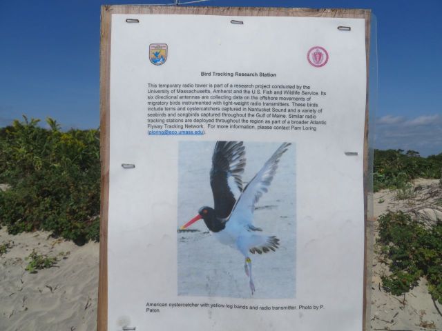 Description of the bird tracking station