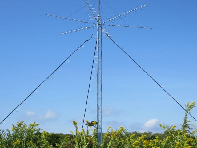 The tracking antennae