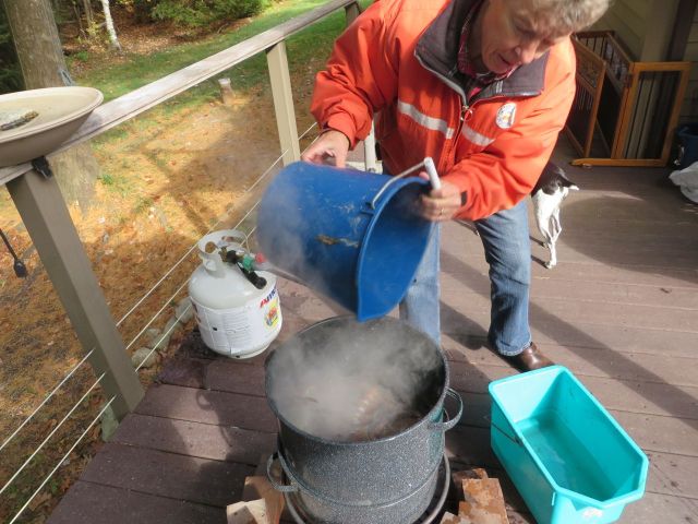 Laurie prepares the steaming pot and adds the lobsters.