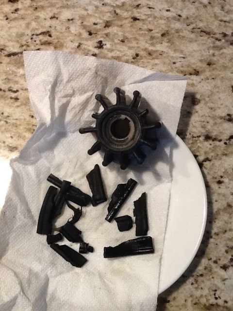 Al found, not just those two missing water blades, but a total of ten blades from older impellers. Unbelievable that the engine had never overheated, and that no one ever looked for them before this!!