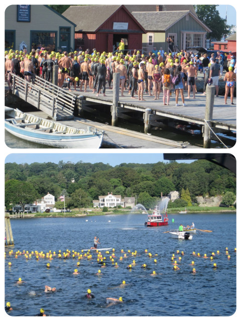 The swimmers gathered on land. The start was an "in the water start."  Dan is the one in the yellow cap. Im pretty sure of it.