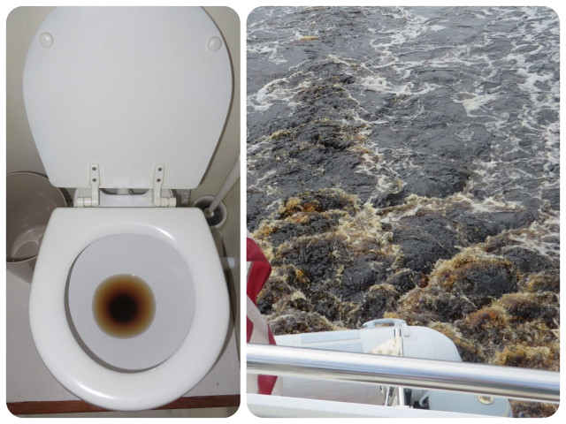 THIS IS NOT WHAT YOU THINK!!! The tannin in the water colors the water int he toilet. You can see the brown color in our wake as well. Just another part of the whole experience. ;-)