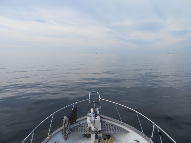 Another day of calm seas! 