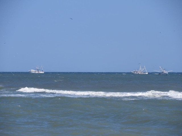 As we sat on the beach, on a very windy afternoon, we watched draggers trawling for fish back and forth. 