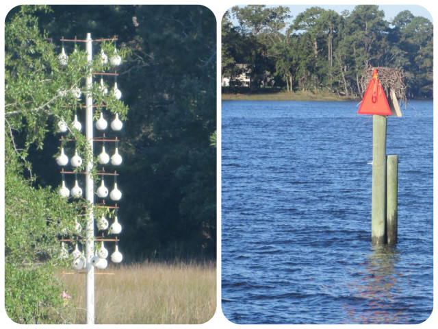 HGTV for birds: Left pic is condo living on the waterfront Right pic is single home, country style surrounded by water