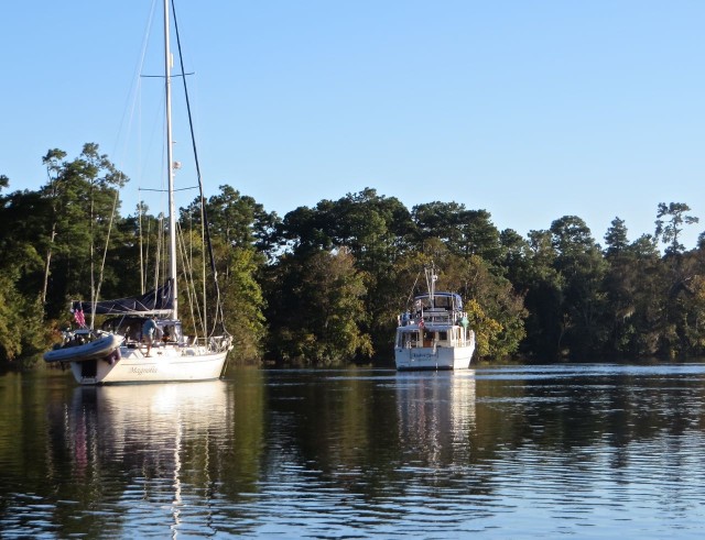 Magnolia and Kindred Spirit snugly anchored in Bull Creek off the Waccamaw.
