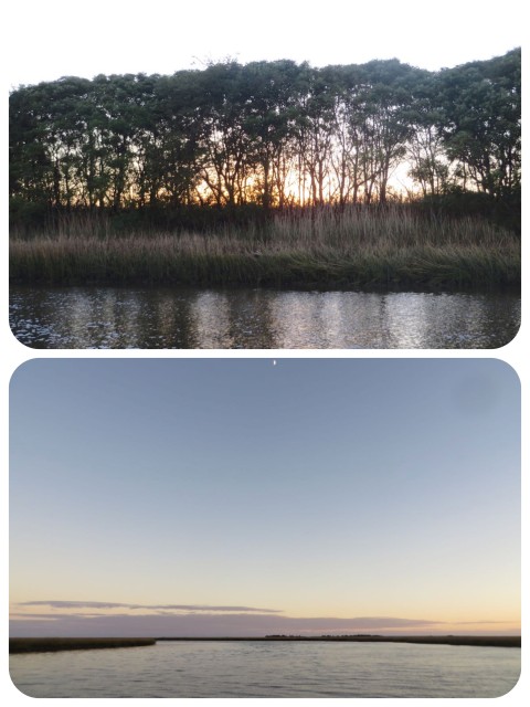 Our anchorage in Graham Creek - How different the view was, depending on the direction you looked. One side looked over the marshes to the ocean and the other was lined with trees.