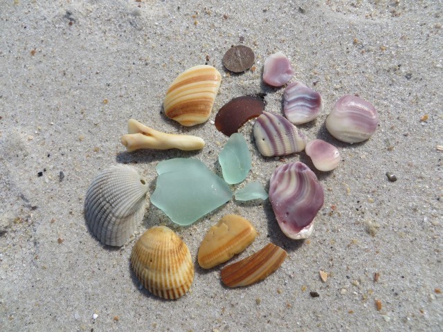 A beach combing success! Our first sea glass on this trip. And they are nice pieces, too.