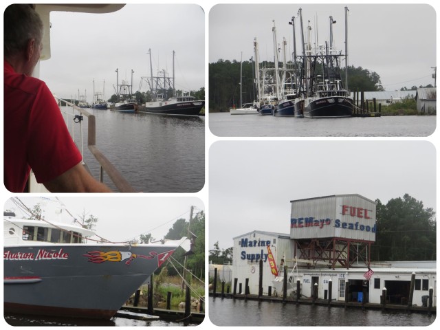 The semi-interesting photos of the whole day were of RE Mayo Seafood Company. Nice shrimp boats!