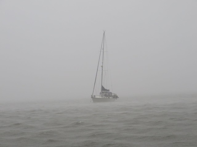 You can see just how heavy the rain was at times - we could barely see Magnolia anchored nearby. Needless to say, we stayed on our own boats that evening!