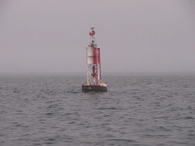 The St. Augustine entrance buoy. You can see the STA marking on it. We found it by slowly and carefully moving along in the fog.