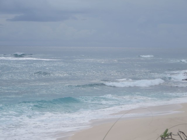 The surf rushes into shore below us.